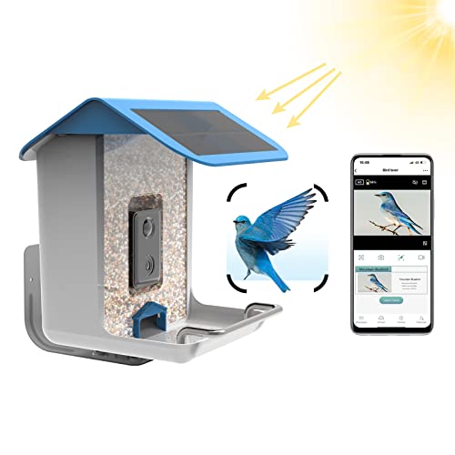 BTSAE casita pajaros Exterior Solar WiFi Inalámbrica, Notificacion de la aplicación, WiFi casita comedero pajaros Exterior, Detección automática de Aves, AI identificar Especies de Aves