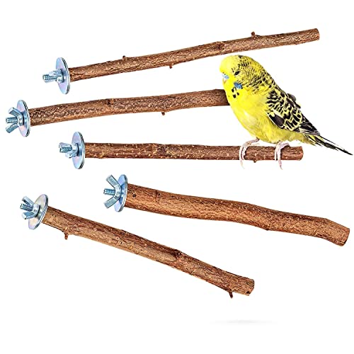 5 Perchas madera pájaros, palos para jaula - accesorios jaula pajaros importante - juguetes agapornis ninfas periquitos