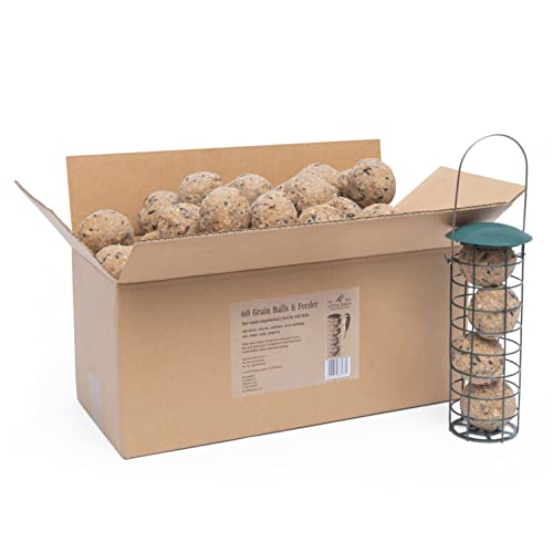 60 Bolas De Grasa para Pajaros con Comedero Pajaros - Bolas De Grasa para Pajaros Silvestres - Bird Feeder For Garden 21x7 cm 6,49 kg