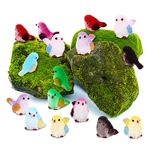 cobee Figuras de pájaros en Miniatura, 16 Piezas realistas Mini Juego de pájaros Figuras Decorativas de pájaros Modelo Animal Adorno para casa de muñecas jardín de Hadas