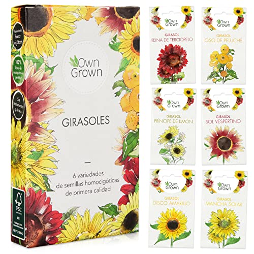 Kit de semillas de girasol: Simiente de girasol de primera calidad con seis bonitas variedades – Set de regalo para el jardín – Flores para abejas – Semillas para plantas de OwnGrown