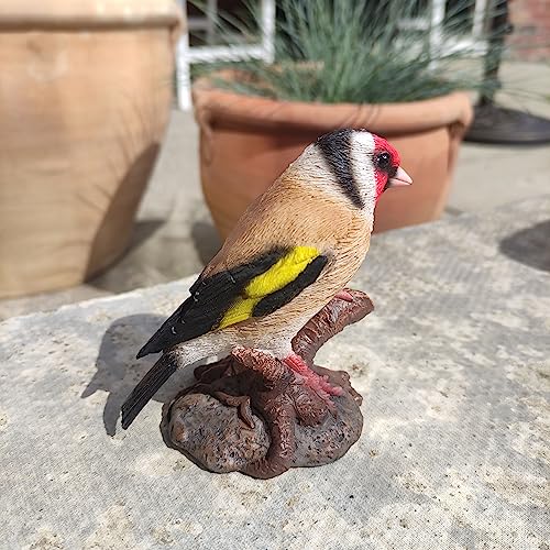 Vivid Arts Pájaro jilguero | Decoración de resina para el hogar o el jardín | WBC-GOLF-F