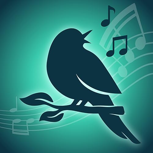 Sonidos de pájaros - Relájate & Disfruta
